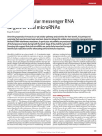4.Messenger RNA targets of viral microRNAs