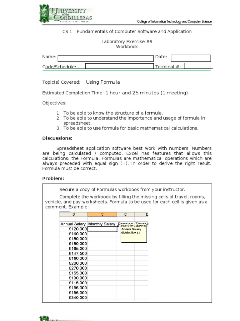 Spreadsheet Formula Usage Exercise | PDF