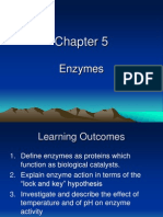 Chap. 5 Enzymes Biology O Levels