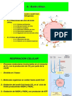 Acido Citrico