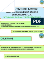 Cultivo de Arroz