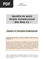 Apostila de Apoio-cap 11-Principios Fundamentais