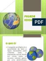 Pegada Ecológica