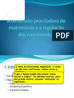 A Dimensão Procriadora Do Matrimônio e A Regulação