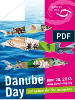 Danubeday Poster2013