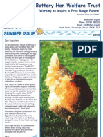 BHWT Newsletter - Summer 2009
