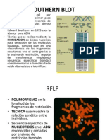 Tecnica Southern Blot