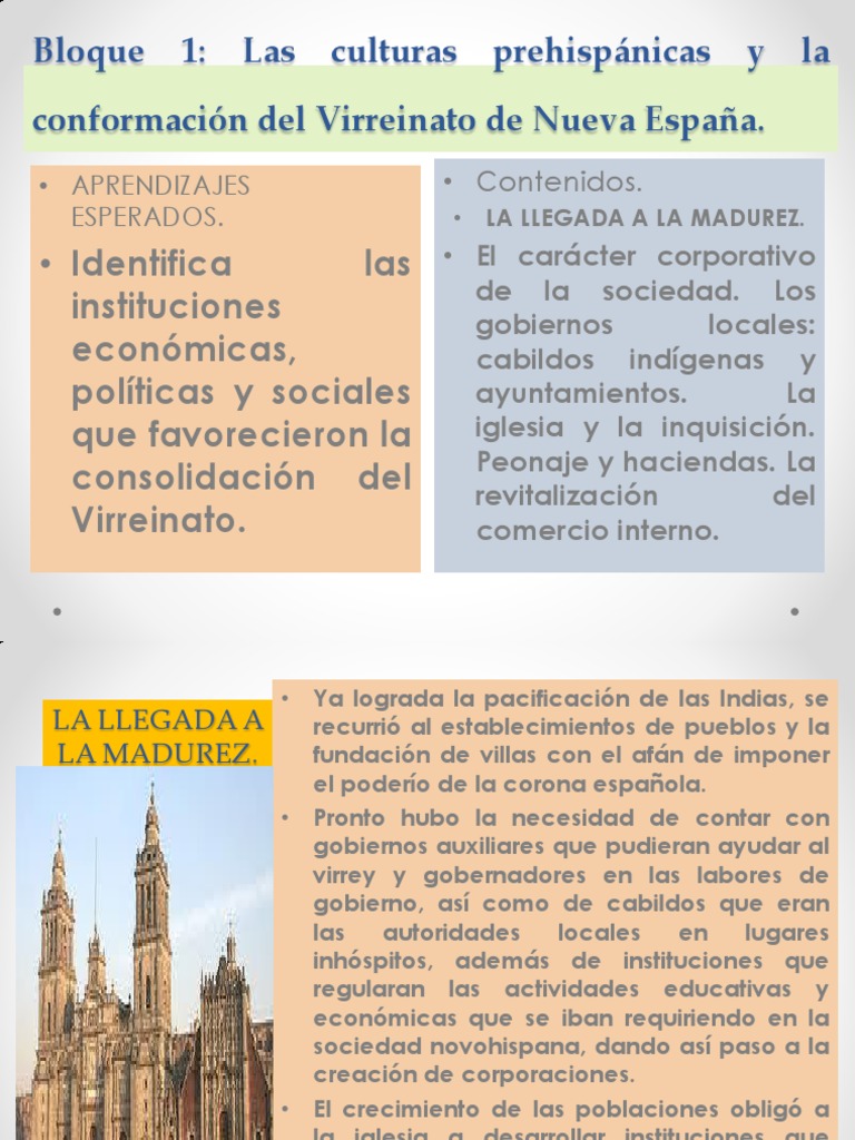 6. La Llegada a La Madurez.