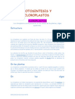 Fotosintesis y Cloroplastos