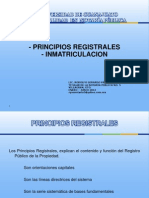 Principios Registrales 2012-1