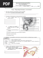 Ficha de trabalho de Ciências da Natureza do 6º Ano- reprodução humana e crescimento