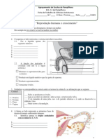 Ficha de Trabalho de Ciências Da Natureza Do 6º Ano - Reprodução Humana e Crescimento