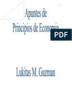 75894233 Principios de Economia Lucas Guzman ECONOMIA
