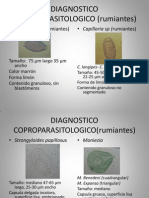 Diagnostico Coproparasitologico