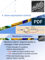 Control Expresion of Gene