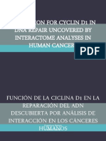 A Function for Cyclin D1 in DNA Repair