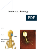 Molecular Biology Lecture