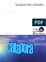 A Catapora