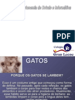 Gatos