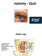 Eye Anatomy - Quiz