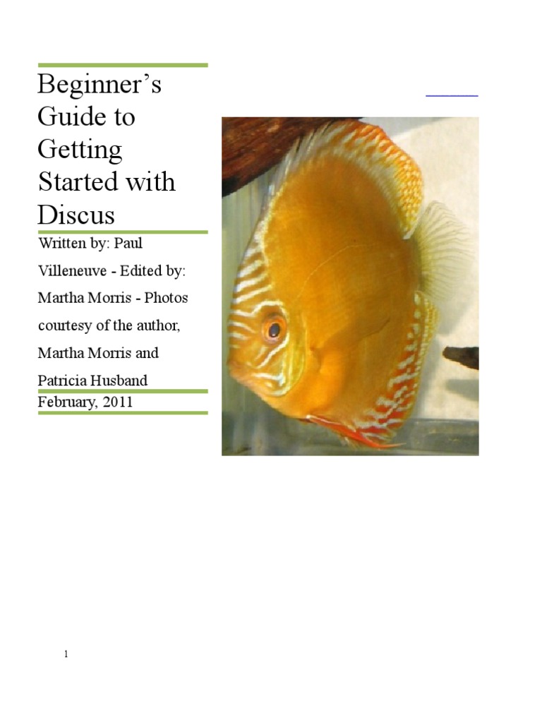 Beginner’s guide to getting started with discus Aquarium Wellness