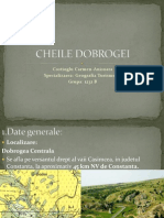 Cheile Dobrogei