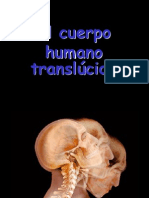 El Cuerpo Humano Translucido
