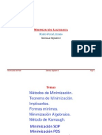 MinimizaciOn Algebraica PDF