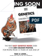 Chicken Colour Genetics Basics