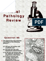 Renal Path Review 2