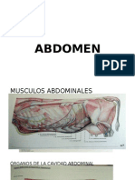 Anatomia II Abdomen - III Fase