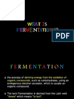 Fermentation