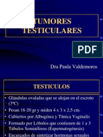 Tumores Testiculares 