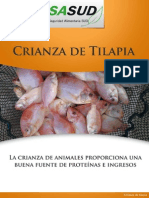 Crianza de Tilapia