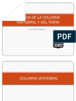 50150108 5 Huesos de La Columna Vertebral y Del Torax Prof Pedro Bolivar