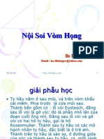 Noi Soi Vom Hong