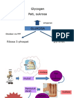 Metabolisme Karbohidrat