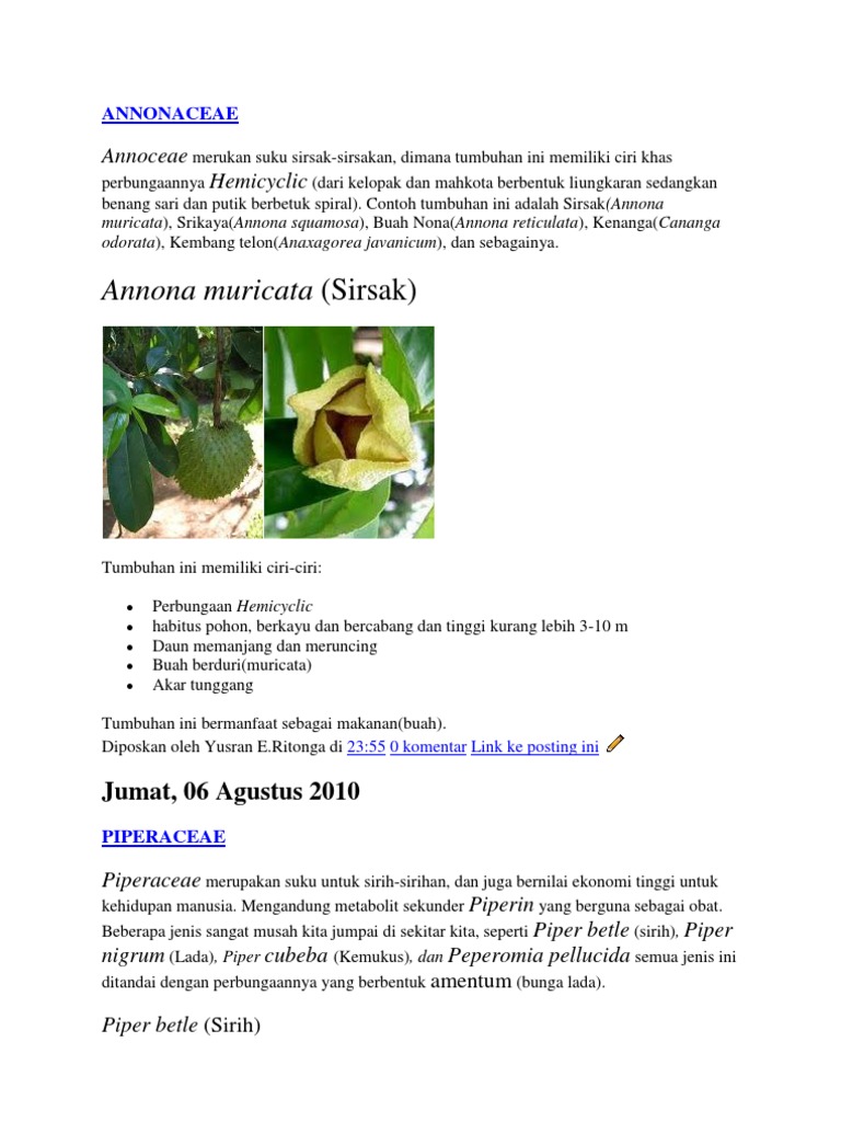 ANNONACEAE