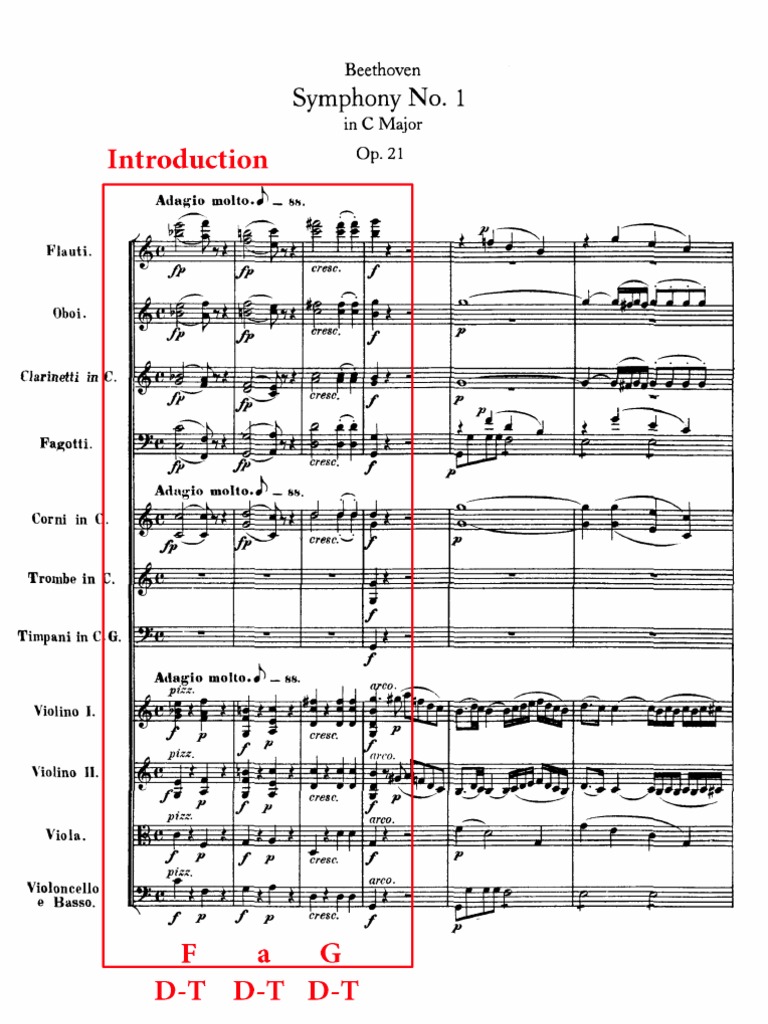 Beethoven analysis essay image