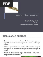 Patologia Geral aula 07 INFLAMAÇÃO CRÔNICA