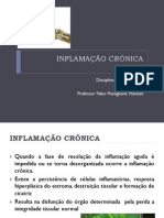 Patologia Geral Aula 07 INFLAMAÇÃO CRÔNICA