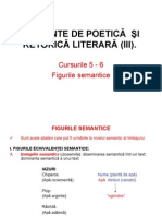 C05 - 06 - Teoria Literaturii - 2011