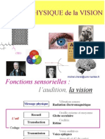 Biophysique de La Vision