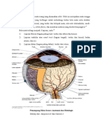 ANATOMIMATA