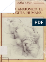 dibujo anatómico de la figura humana_hun
