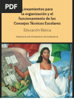 Lineamientos Cte