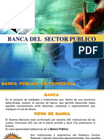 Banca Del Sector Publico