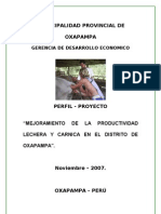 Proyecto Incremento de La Productividad Oxapampa Noviembre