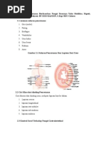 Download fisiologi pencernaan by didi ra SN15100051 doc pdf