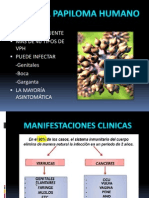 Its Más Frecuente Más de 40 Tipos de VPH Puede Infectar - Genitales - Boca - Garganta La Mayoría Asintomática